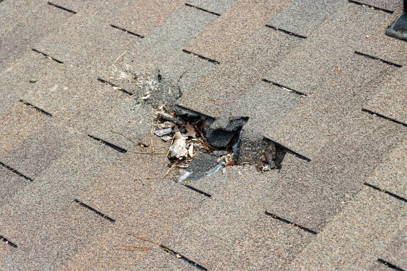 Roof Shingles Repair