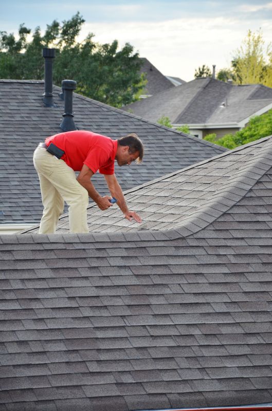 Roof Inspection and Maintenance Teams